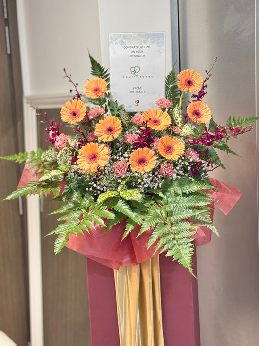 Grand Opening Box Stand - Fortune Glow