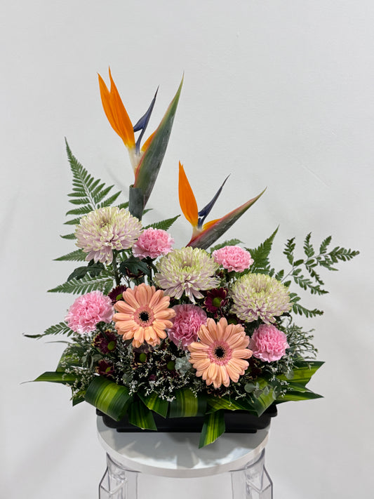 Floral Devotion Plan