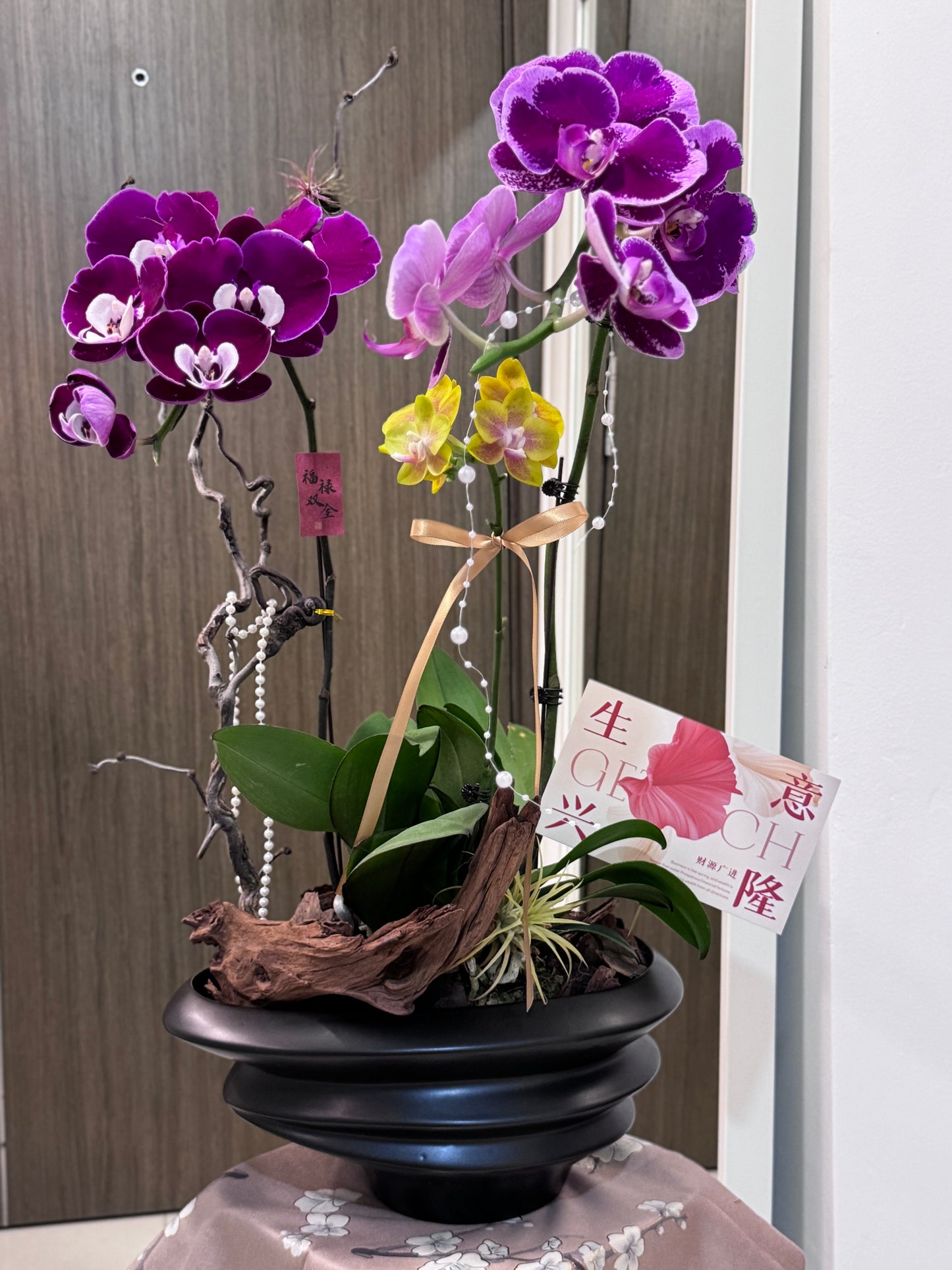 Orchid Arrangement – Regal Serenity