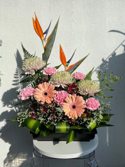 Floral Devotion Plan